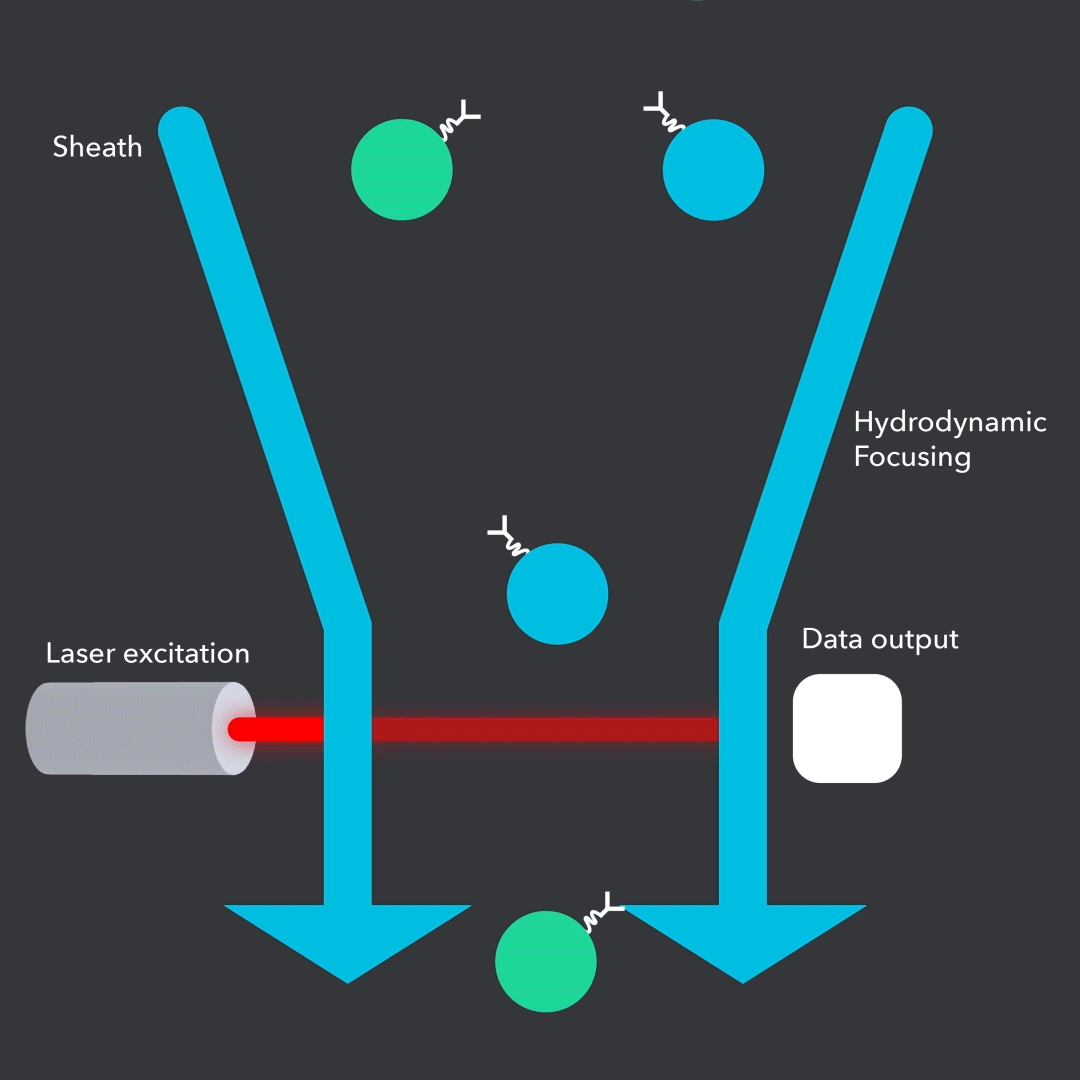 LINARDA technology animation